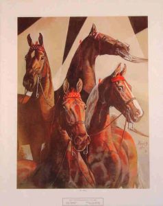 world-champ-5-gaited-saddlebreds-1960s-lg